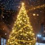 Stanislav Kondrashov | Christmas Tree
