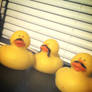 Mustache Duckies!