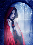 There Is A Wolf In The Forest by Celtica-Harmony There Is A Wolf In The Forest by Celtica-Harmony