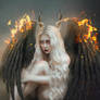 Fallen Angel
