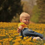 Little Jesse