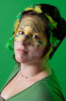 Parakeet Face Paint Design