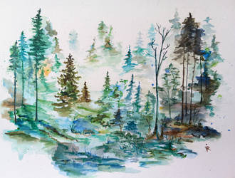 A quiet day in the forest