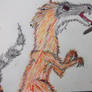 Old Velociraptor Drawing