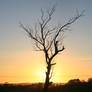 The Sun Never Stops Setting