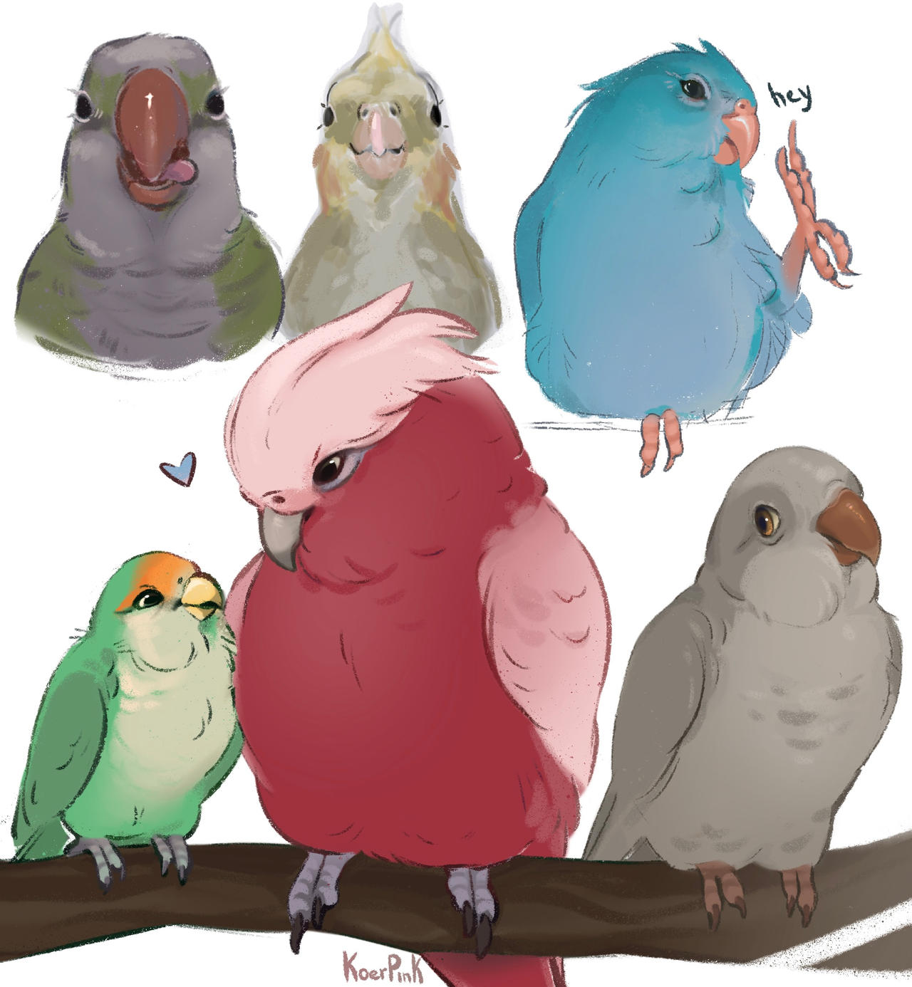 Deviantart Bird Designs sketches of parrots | also birds commissions open! by koerpink on ...