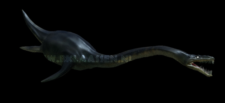 Elasmosaurus wip