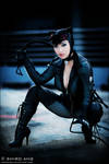 Catwoman - 02 by shiroang
