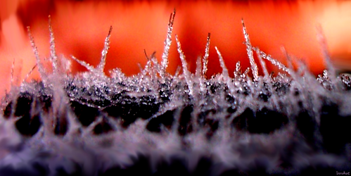 Frost up close and manipulated