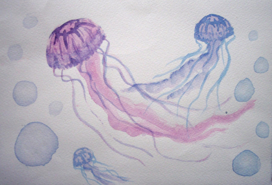 jellyfish