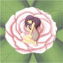 Hinata Sleeping in a Rose