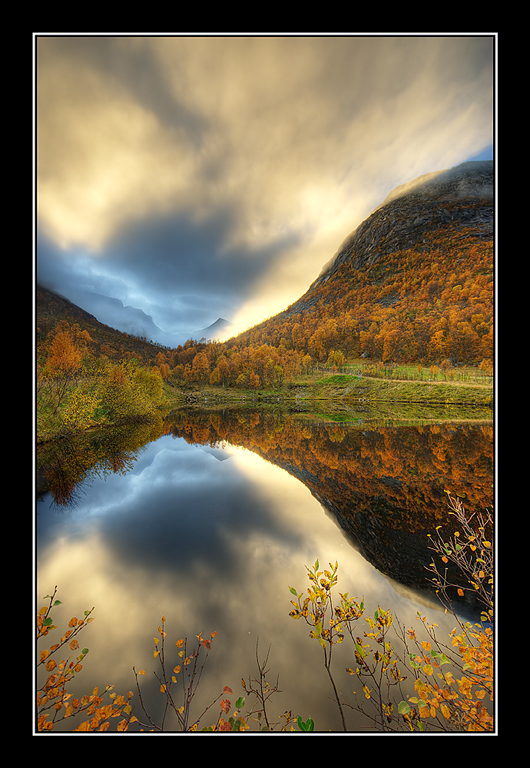 reflections of autumn