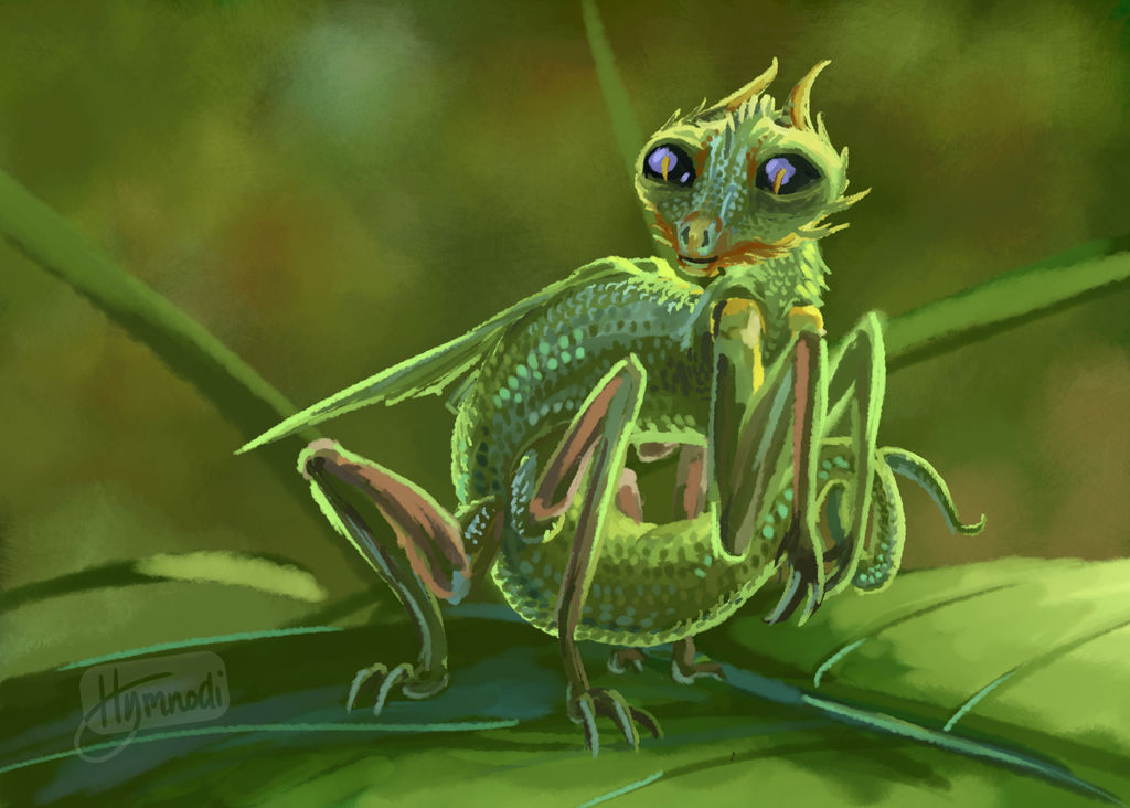 Magnu Insect Smaugust 17: Insect by Hymnodi on DeviantArt