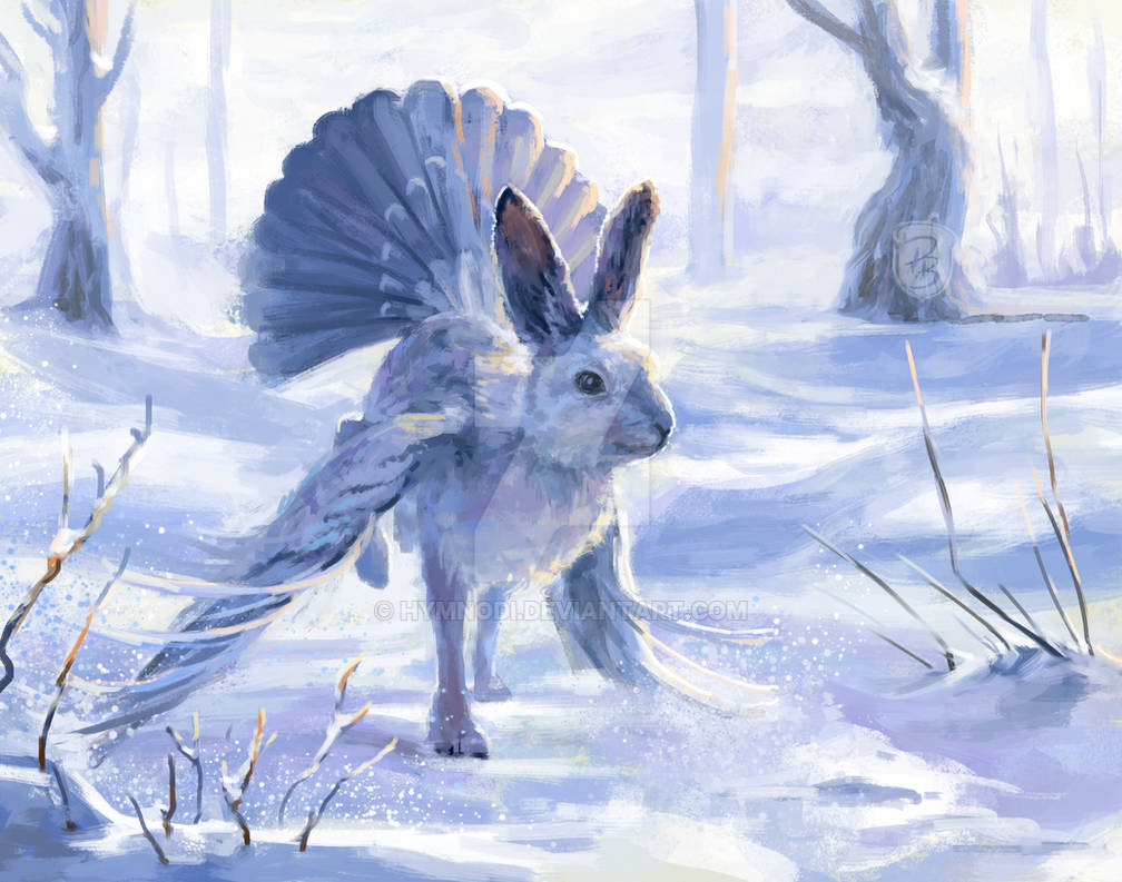 Skvader Rabbit Art year 2021 - Day 362: Skvader by Hymnodi on DeviantArt