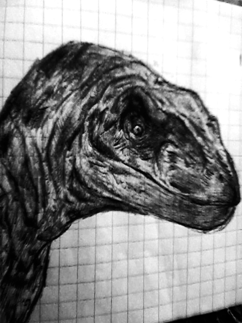 Raptor sketch on a notebook