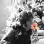 john lennon flowers