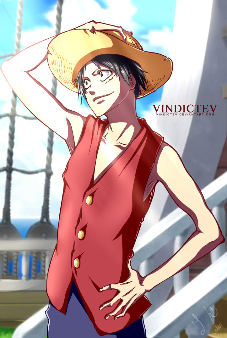 one piece X bleach by julcha97 on DeviantArt