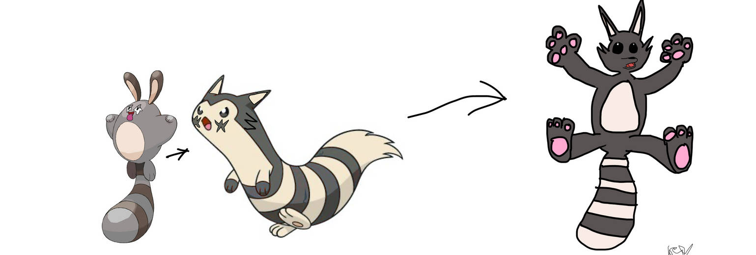 American sentret full evolution by OfficialKennyStudios on DeviantArt