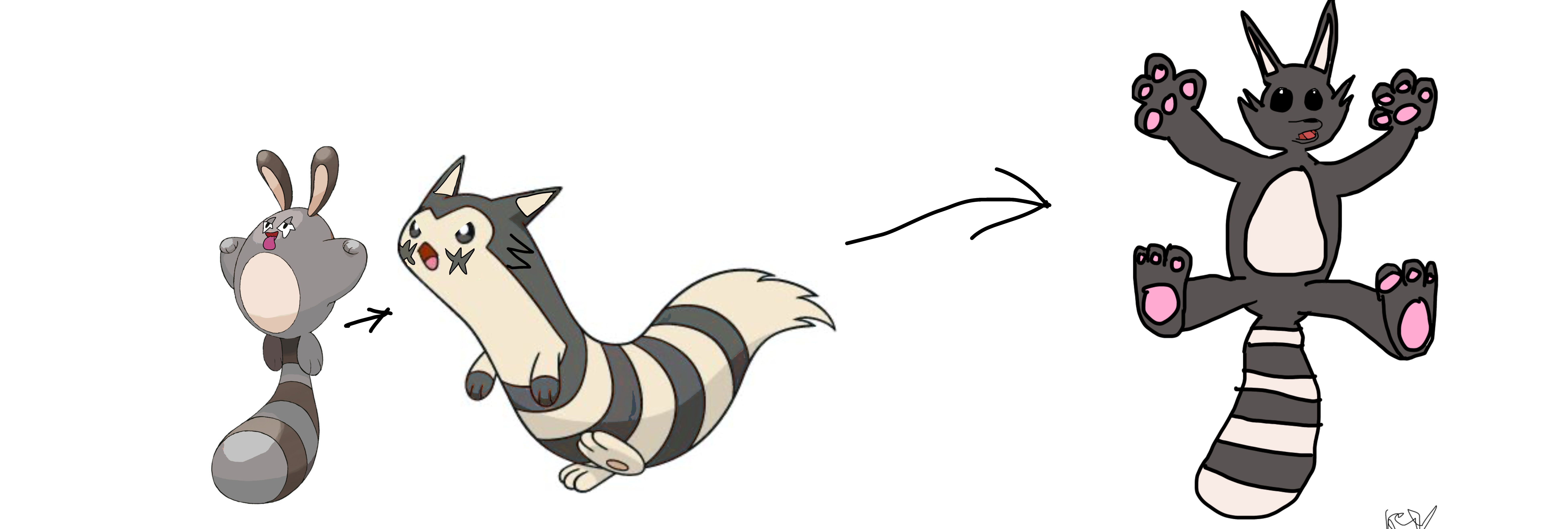 Sentret Flying Sentret Pokemon Evolution