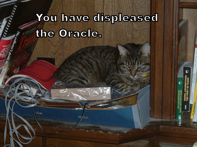 LOLcat Oracle