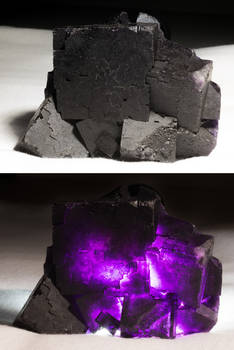 Black Fluorite