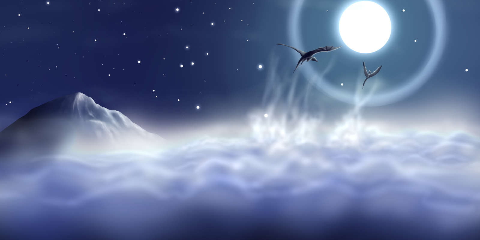 Banner 2019