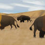 Bison Herd - Concept Art