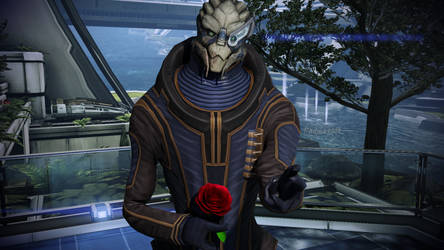 Holding a rose - Garrus