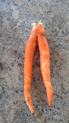 Weirdest carrot form ever