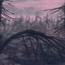 dead trees