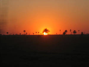 Sunset in Mato Grosso do Sul 2