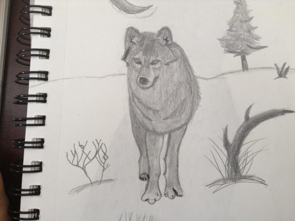 Wolves Graphite Drawing Graphite drawing of a wolf by hobowendy on DeviantArt