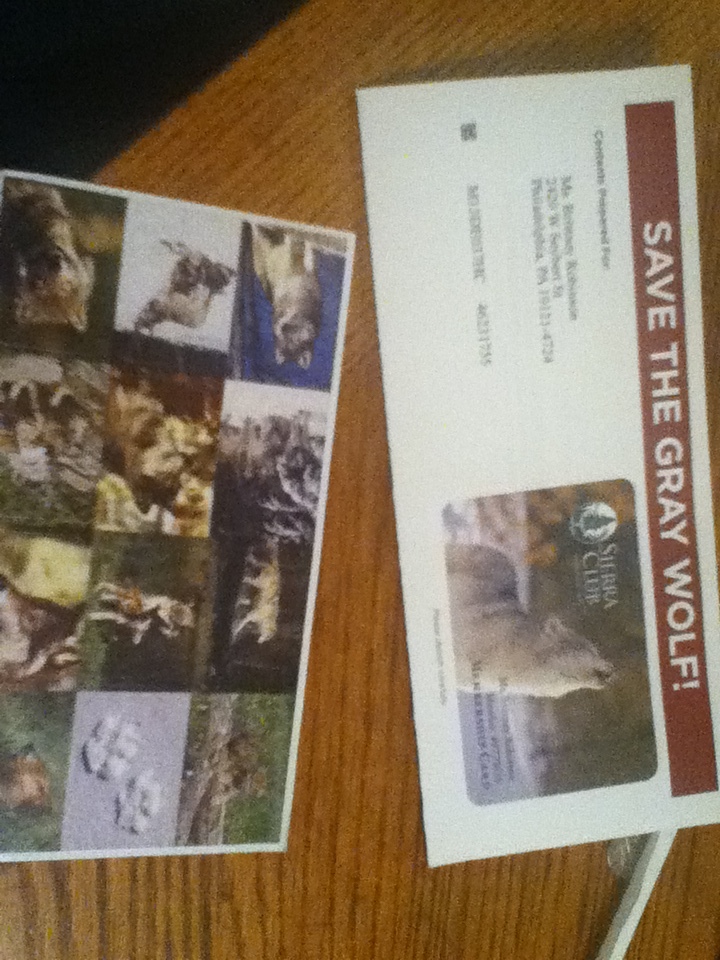 My Sierra Club stickers and membership card! :D