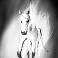 Horse Enshrouded in Smoke