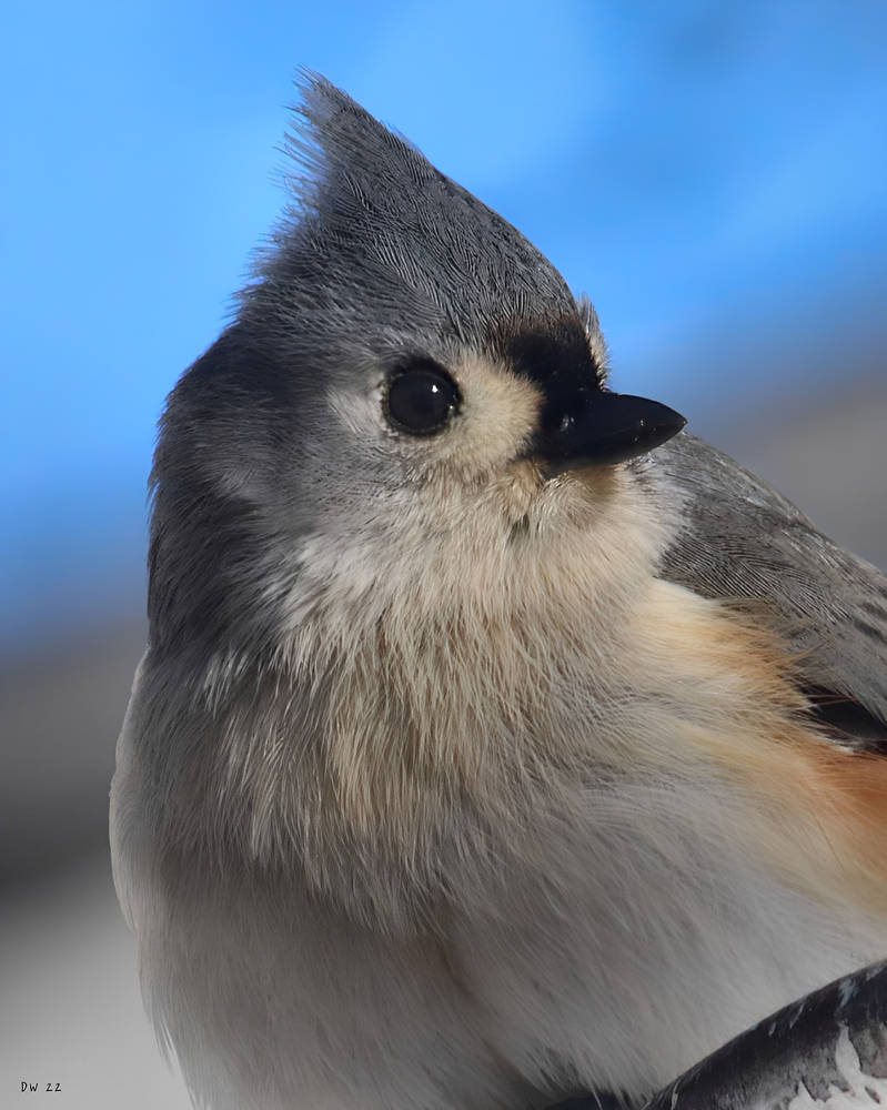 Bf825760-d6c8-4d64-8dce-cee56265325a by DasDriver on DeviantArt