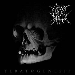 Perfect Beauty Teratogenesis EP cover