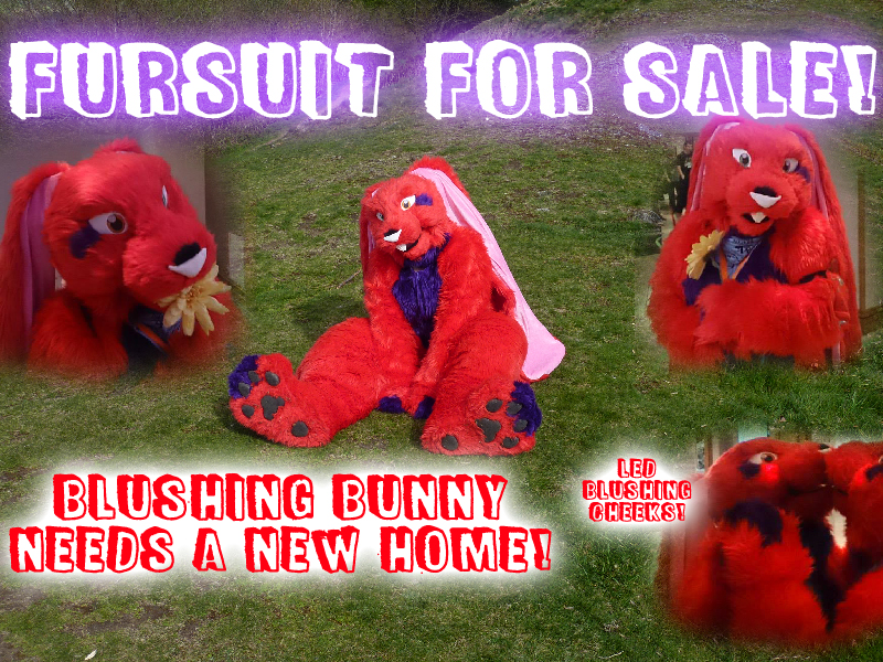 Selling Blushing Bunny Fursuit SOLD