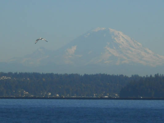 Mt. Rainer