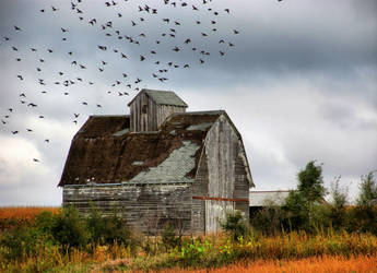 Iowa Farm Buildings 7