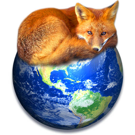 Firefox Realistic Icon