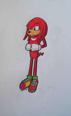 Knuckles The Echidna.