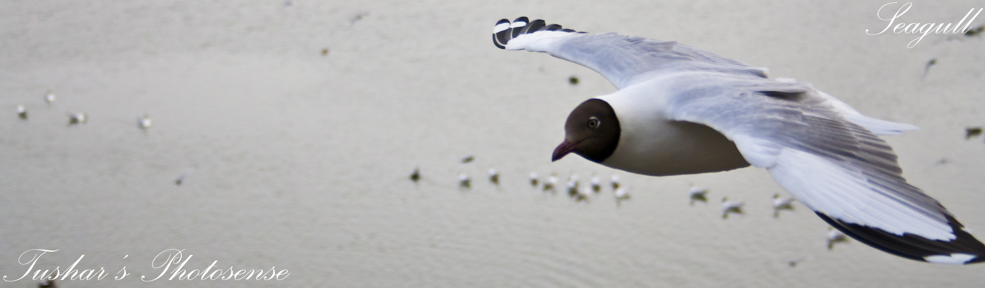 At Lakhota Lake 02