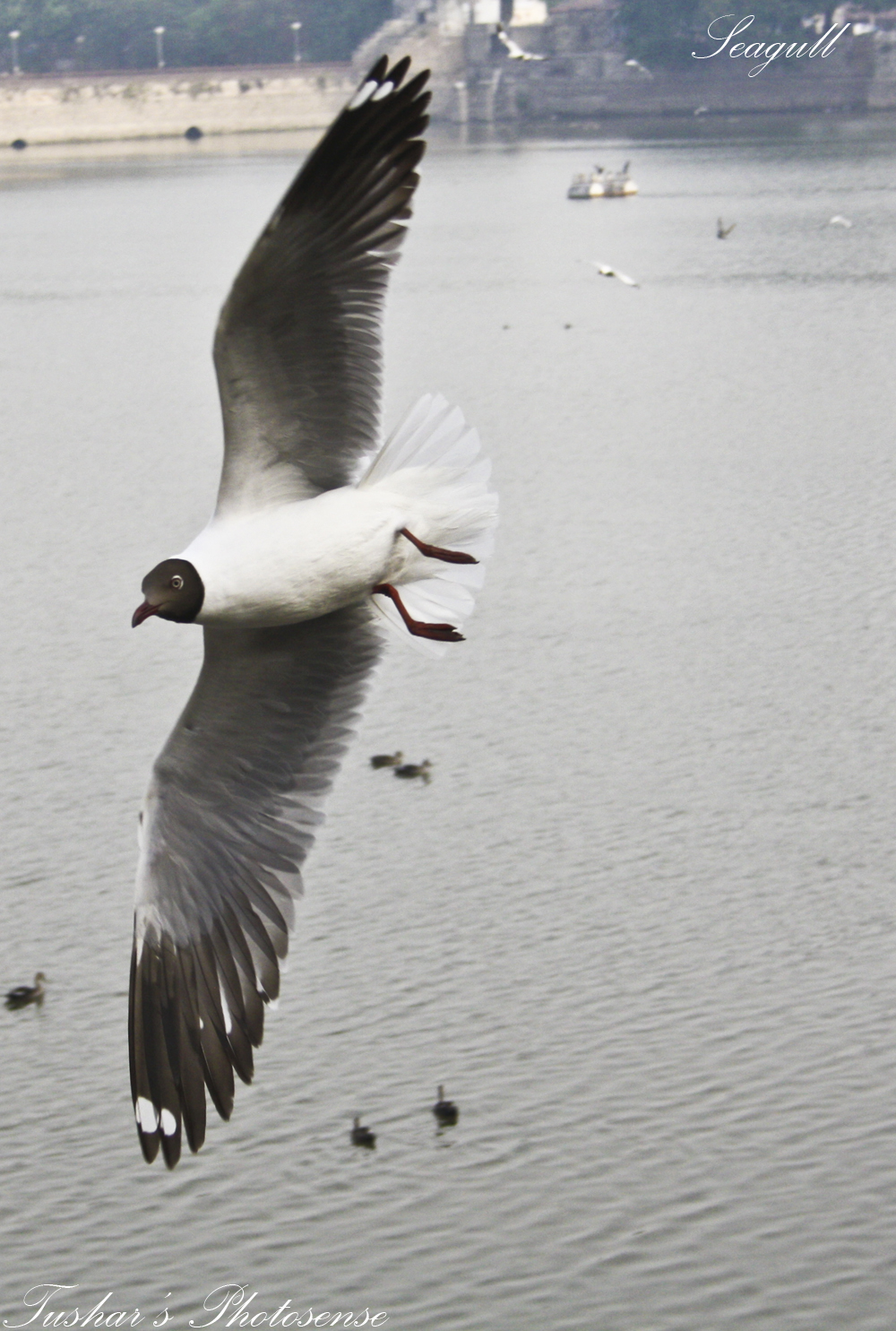 At Lakhota Lake 08