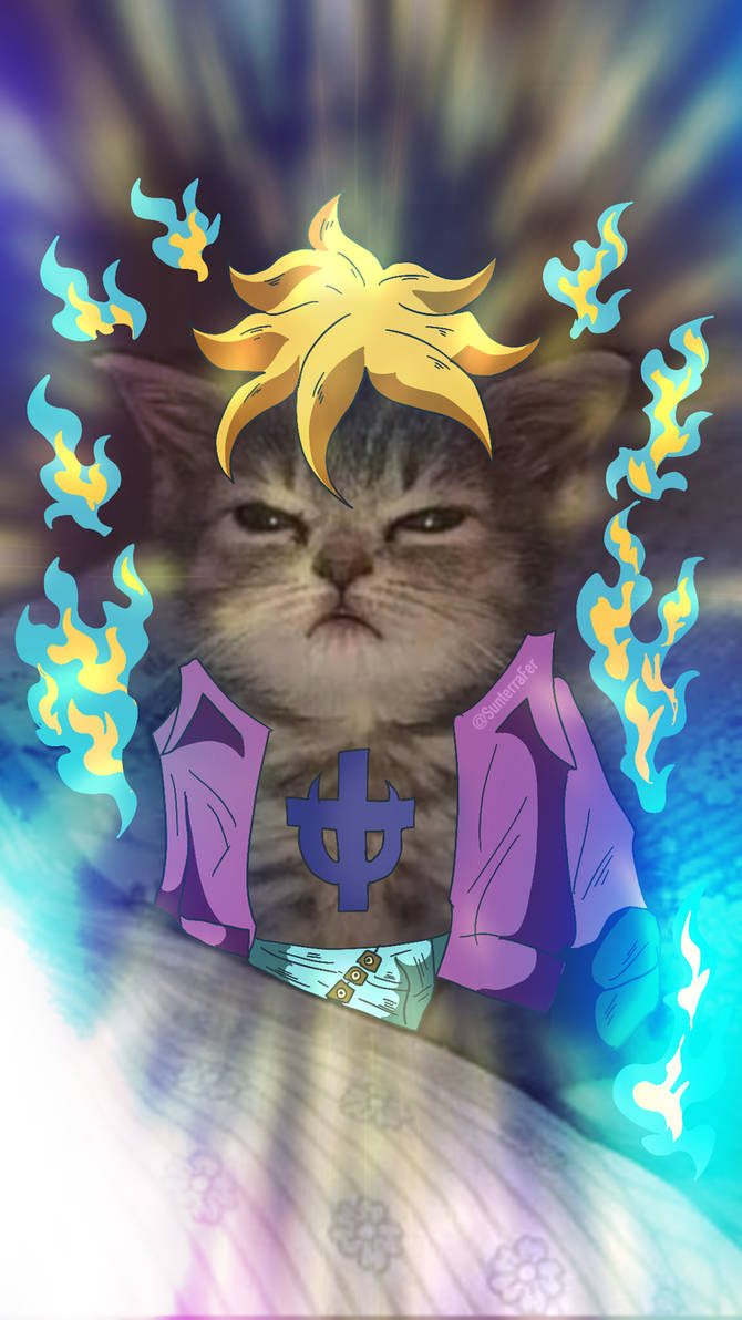 Fenix Marco Cat One Piece by Sunterra92 on DeviantArt