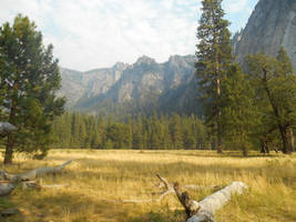 Yosemite National Park Stock 01