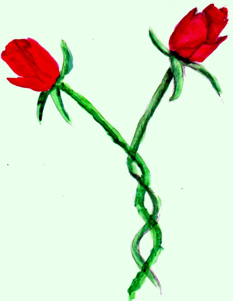 Entwined Roses by A-Beautiful-Let-Down on DeviantArt