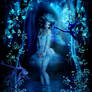 Blue Fairy