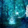 Enchanted Forest