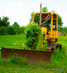 Leaves and Rust by Anthony Izzi