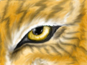 Felid's Eye~